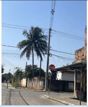 Imóveis Caixa Leilão Casa 8444401815553